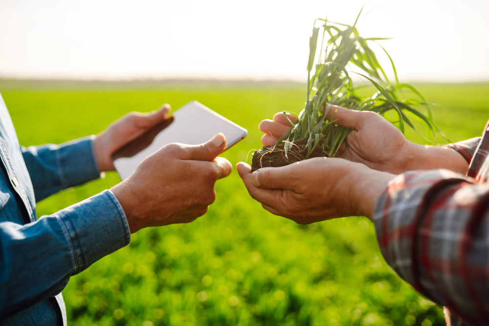 Farmers,With,Tablet,On,A,Green,Wheat,Field.,Farmers,In