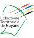 Logos CTG